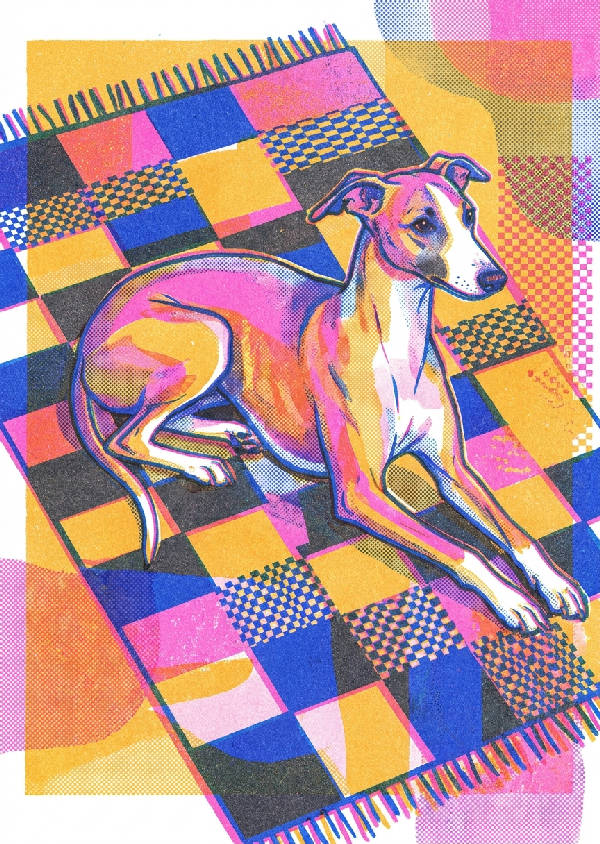 Elegant whippet hund i ett livfullt risograf print. Neonrosa, blå, gul, svart på geometrisk matta med rasterpunkter.