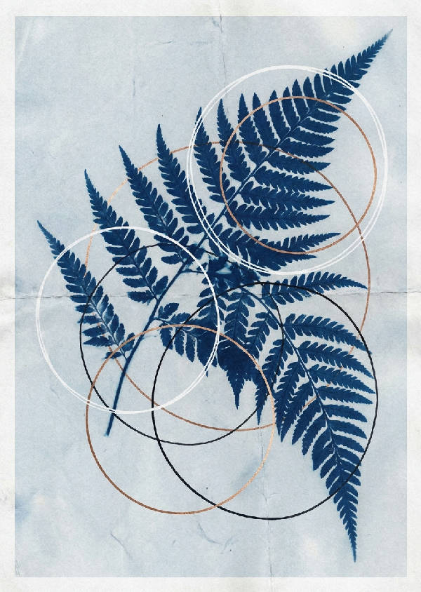Närbild av en stor ormbunksfrond i cyanotypi-stil, överlappande med minimalistiska geometriska cirklar i indigo och vitt med kopparacenter.