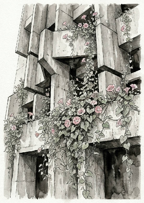 Brutalistisk betongfasad med skarpa vinklar, övervuxen av delikata morgonlila rankor och mjuka blommor i bläcktvätt.