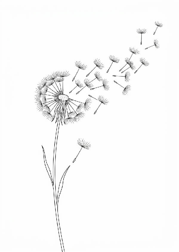 Minimalistisk svart linjeteckning av en skör maskrosblomma med fröställning mot ljus bakgrund i stående format.