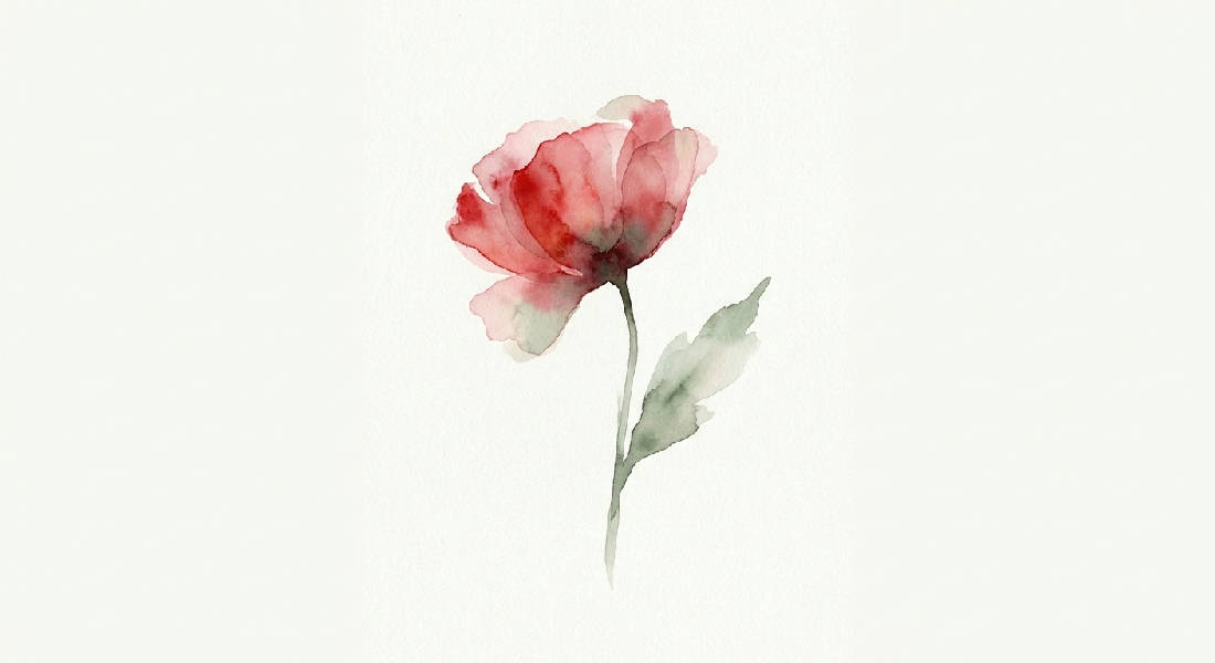 Genomskinlig akvarell av en röd vallmo med mjuka nyanser av rött, rosa och salviagrön. Minimalistisk botanisk konst med vitt utrymme.