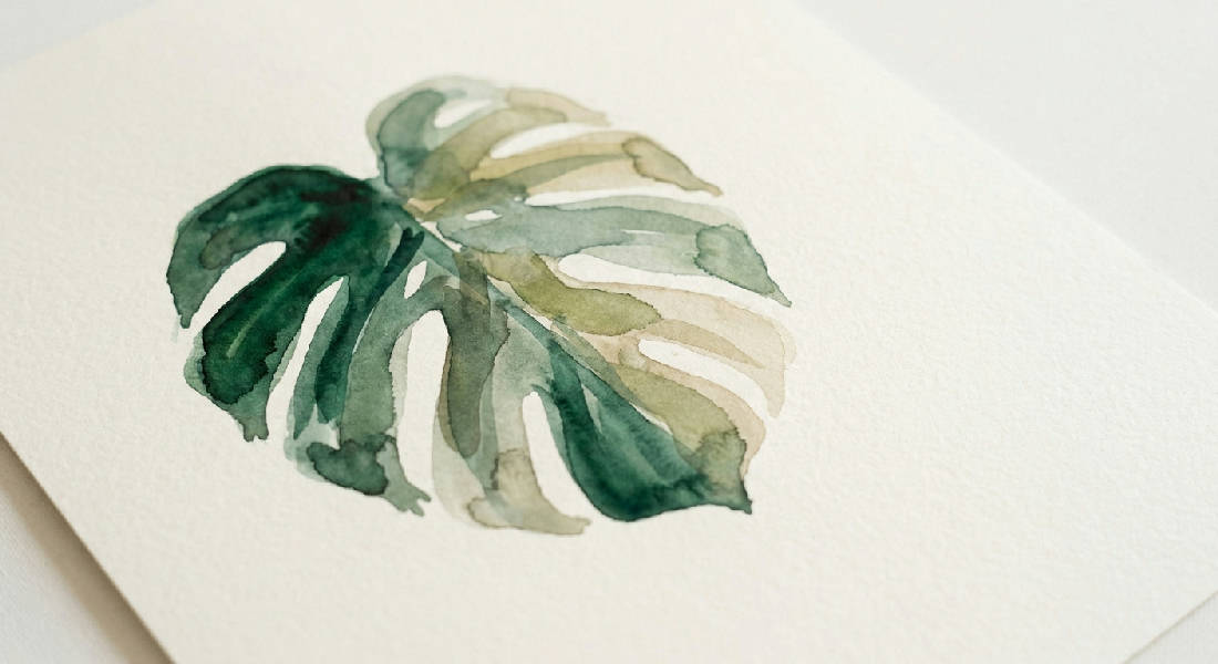 Minimalistisk akvarellmålning av ett enda, elegant Monstera deliciosa-blad i smaragdgrönt, salvia och oliv.