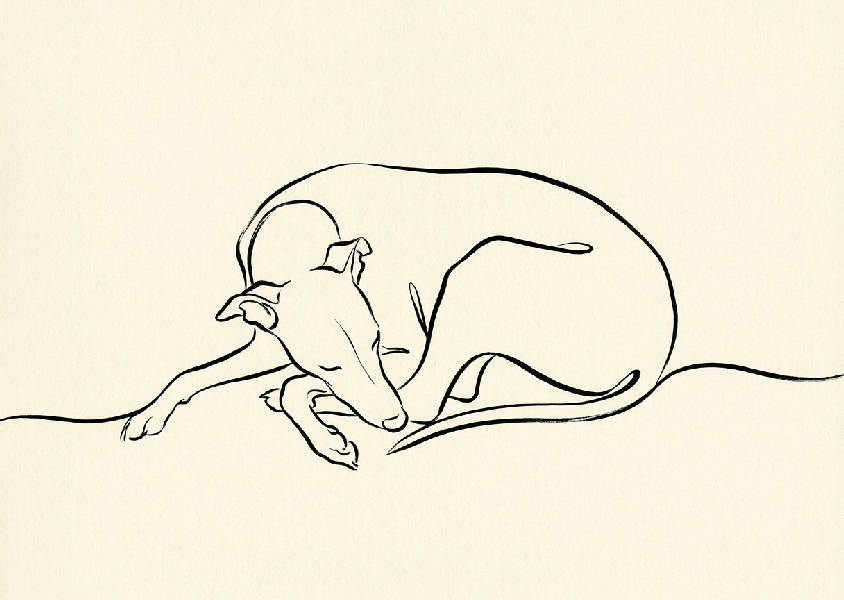 Minimalistisk kontinuerlig svart linjekonst som föreställer en sovande whippet på en varm krämfärgad bakgrund.