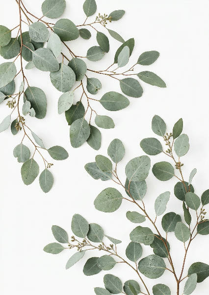Photorealistic premium wall – AI-poster