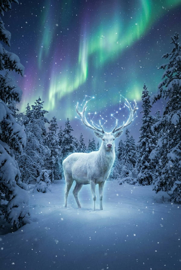 Eterisk vit hjort med stjärnbeströdda horn står i en snöig skogsglänta under norrskenet, med fallande snö i ett majestätiskt vinterlandskap.