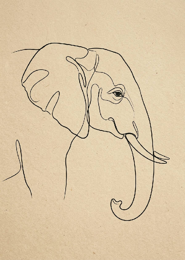 Minimalistisk linjekonst-illustration av en elefant i svarta konturer på vit bakgrund, stående format.