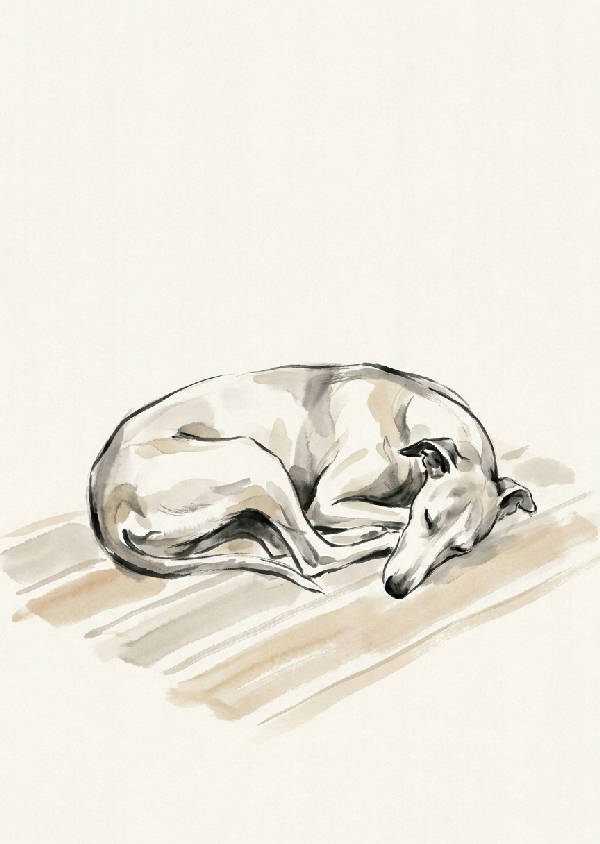Minimalistisk japansk bläckmålning av en smal whippet-hund som sover på en randig matta. Kol, ecru, sepia toner, gott om negativt utrymme.