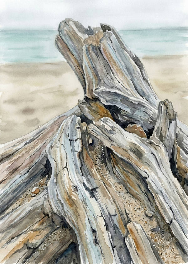 Närbild av detaljerad akvarellmålning av grå drivved på sandstrand med suddig bakgrund av lugnt vatten