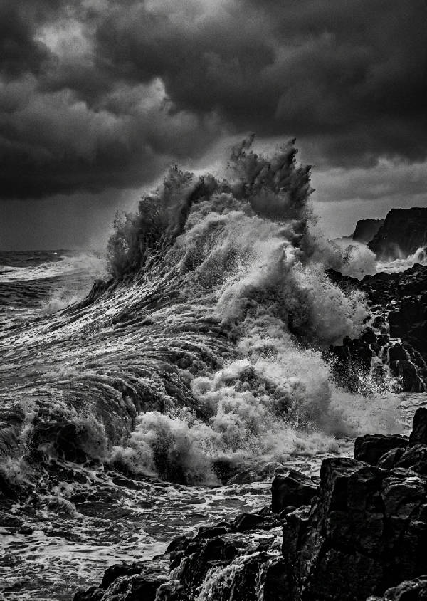 Svartvit bild av höga, dramatiska havsvågor som bryter med skum. En kraftfull scen från havet i porträttformat.