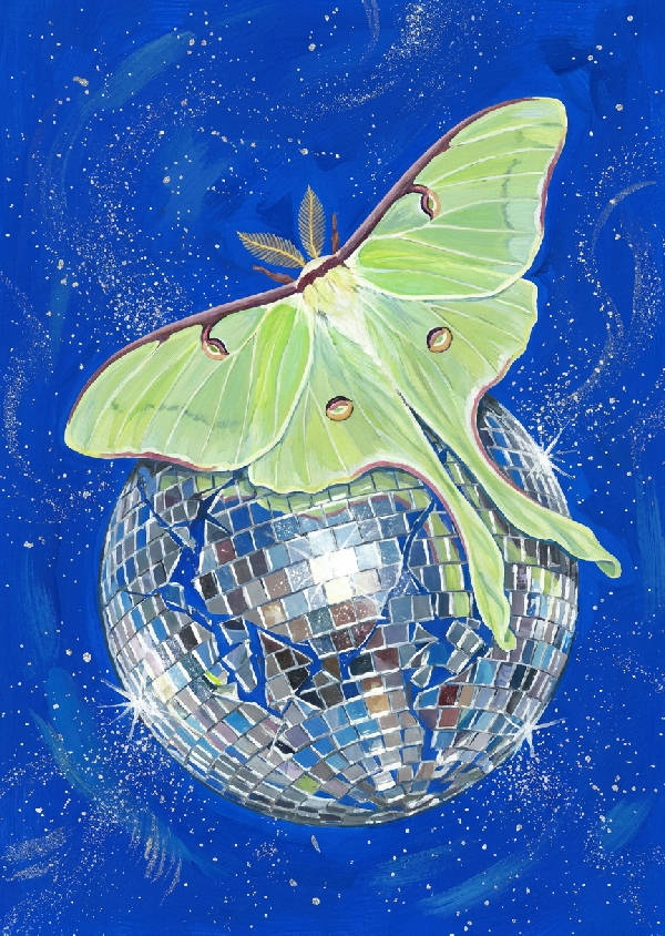 Blek limegrön Luna mal med intrikata detaljer vilar på en krossad silverdiscokula. Koboltblå bakgrund med flytande silverdamm. Gouache, handmålad.