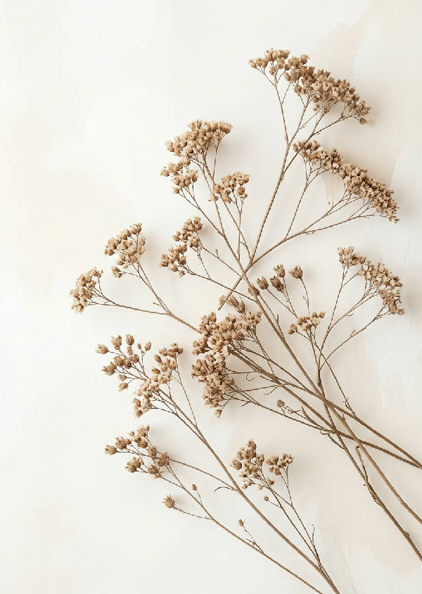 Närbild av minimalistisk tavla med torkade vildblomsgrenar och små beige-bruna blommor och fröställningar. Diagonal komposition på en mjuk, ljus krämfärgad bakgrund med struktur. Mörk valnötsram och bred krämvit passepartout.