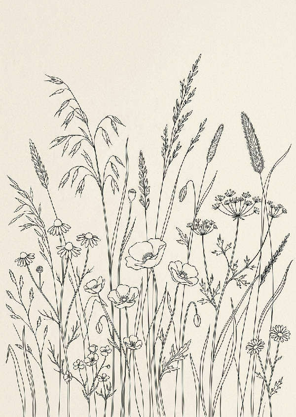 Svart silhuett av höga, smala ängsblommor mot en ljus bakgrund i ett minimalistiskt porträttformat. Växterna står upprätt och ger ett lugnt intryck.