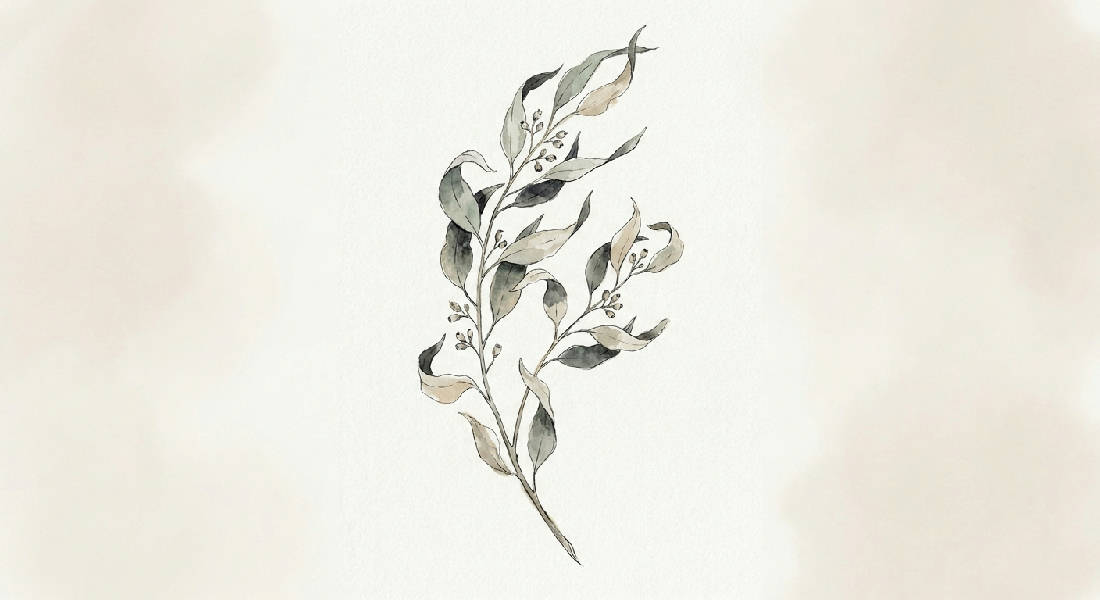 Minimalistisk Japandi illustration av en ensam torkad gren med få blad som kurvar uppåt, utförd i akvarell och fin tusch med mjuk beige bakgrund.