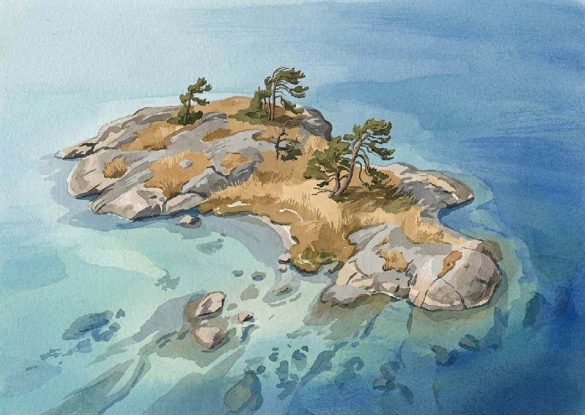 Flygbild över en liten svensk ö med klippor, guldgult gräs och enstaka träd. Vattnet skiftar från akvablått till mörkare blått.