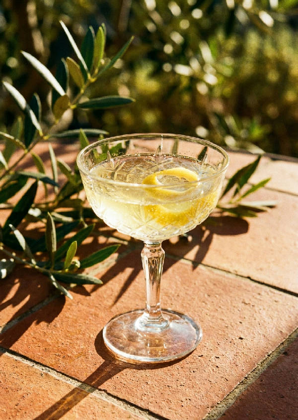 Närbild av ett coupeglas fyllt med limoncello och citronskal på ett rustikt terrakottabord, med suddiga olivkvistar i bakgrunden. Varmt medelhavsljus.
