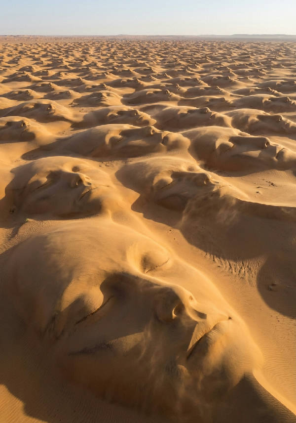 Hyperrealistisk flygvy över Saharaöknen med sanddyner formade som enorma sovande mänskliga ansikten, ögon slutna, med sand som yr runt konturerna i ett porträttformat.