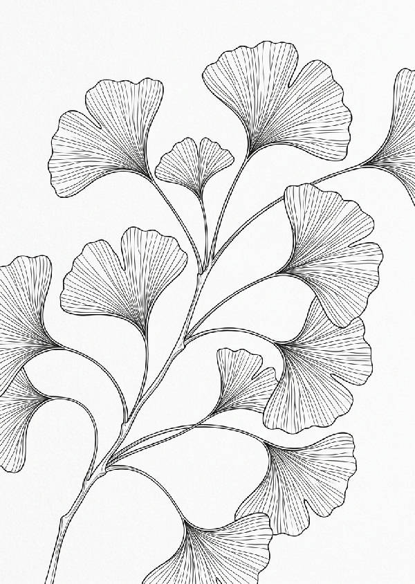 Minimalistisk linjekonst av ginkgoblad med rena svarta linjer på vit bakgrund, stående format