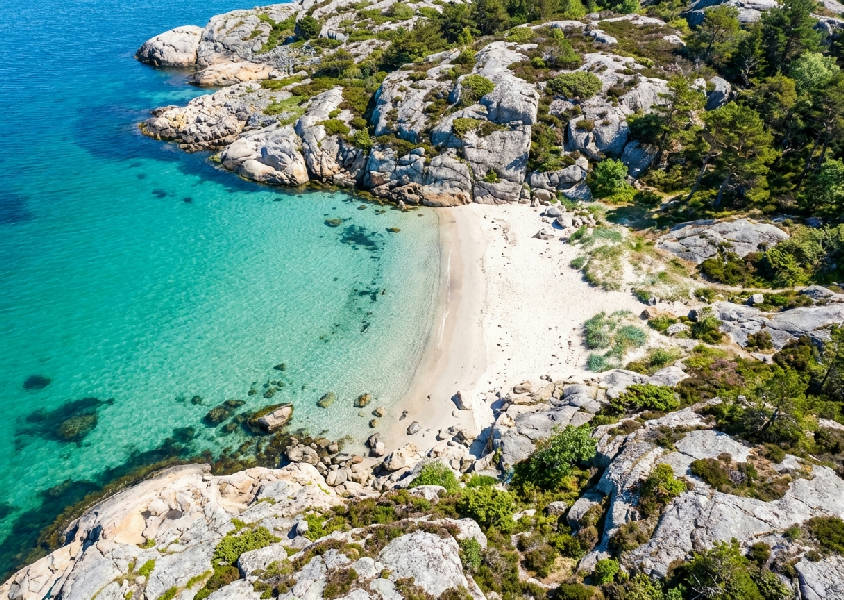 Flygfotografi över en orörd, liten sandstrand med turkost vatten och låg kustväxtlighet på klipporna.