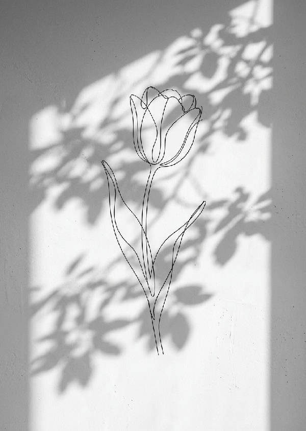 Närbild av en minimalistisk svartvit skuggfotografi som visar rena linjer av blommor i vertikalt format