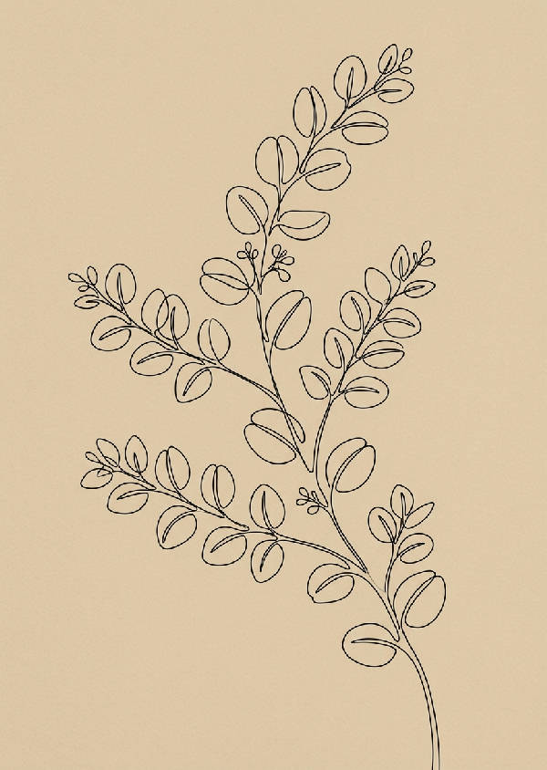 Minimalistisk linjekonst av en enda eukalyptuskvist med några blad på en enfärgad beige bakgrund