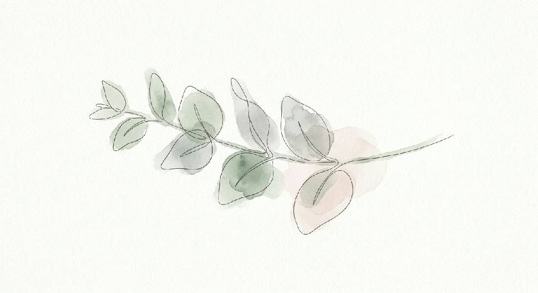 Delikat linjeteckning av eukalyptusgren med salviagrön, mjuk grå och blek rosa akvarell på varmvit bakgrund.