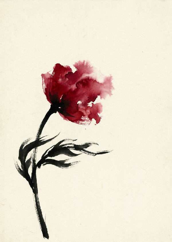 Slående minimalistisk bläckmålning av en ensam vild vallmoblomma med svart stjälk, röda blad och en oblekt vit bakgrund.