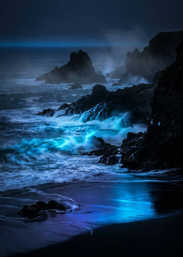 Mörk klippig kust, bioluminescerande blå vågor lyser på våt svart sand, reflekterar neon cyan. Dimma över taggiga klippor vid midnatt.