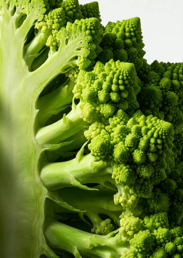 Närbild av en romanesco-broccoli, snittad för att visa dess intrikata, självliknande fraktala mönster i limegrönt.