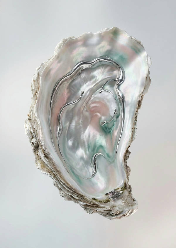 Hyperrealistiskt 3D-renderat ostronskal med skimrande insida och flytande silverdetaljer, mjuk studiobelysning