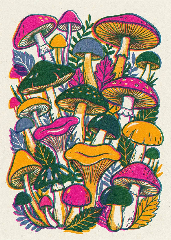 Risograph skogssvamp. Djärv magenta, ringblomsgul, grön, kornig textur, snedställda bläcklager på benvit. Porträtt.