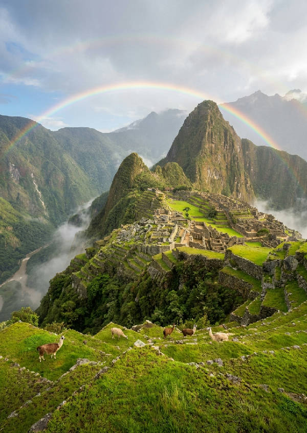 Hyperrealistiskt flygfotografi av Machu Picchu efter regn, gröna terrasser glittrar, regnbåge över Inkaruiner, dimma i dalen med lamor.