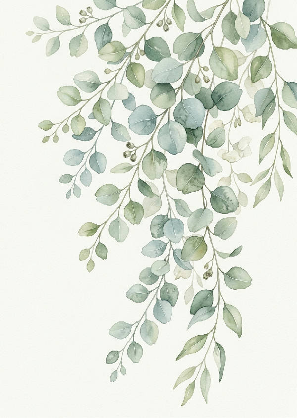 Närbild av eukalyptusgrenar med runda blad, målade i mjuka akvarellnyanser av grönt och grått på en ljus bakgrund.