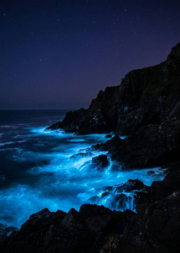 Långtidsexponerat fotografi av mörka klippor vid en kust på natten där vågorna glöder i neonblå bioluminescens.