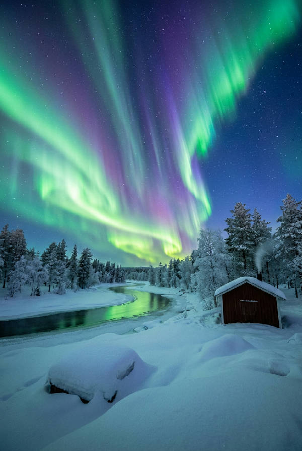 Fotorealistiskt norrsken i grönt och blått dansar över ett snötäckt svenskt vinterlandskap med granar under en stjärnklar natthimmel