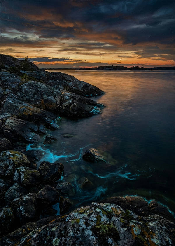 Karg svensk skärgårdskust i djup skymning. Mörka granitklippor, lugnt vatten speglar solnedgång och lysande bioluminiscens.