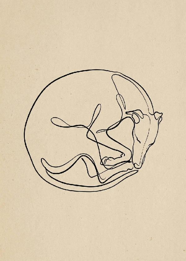 Minimalistisk linjekonst illustration av en sovande greyhound i cirkel på beige bakgrund.