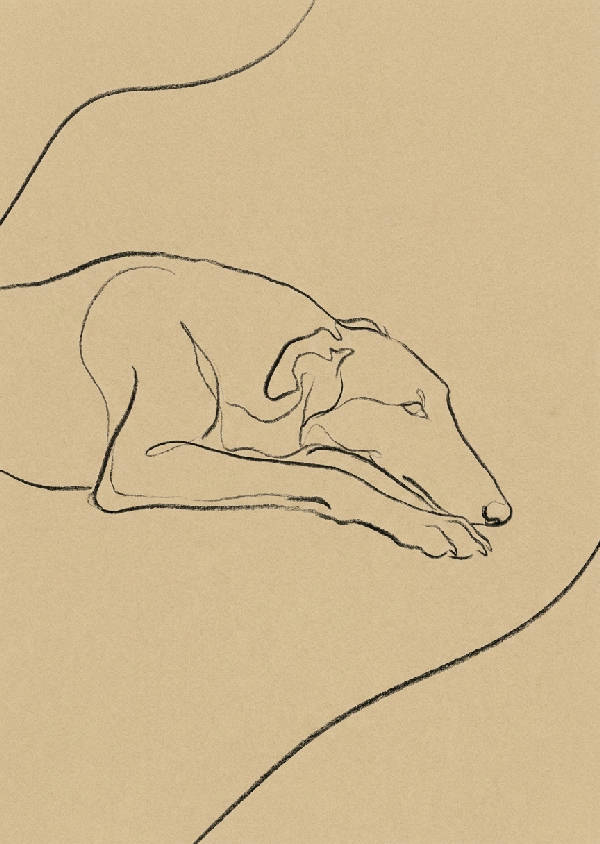 Minimalistisk illustration i en enda linje av en elegant borzoi-hund som vilar på varm beige bakgrund.