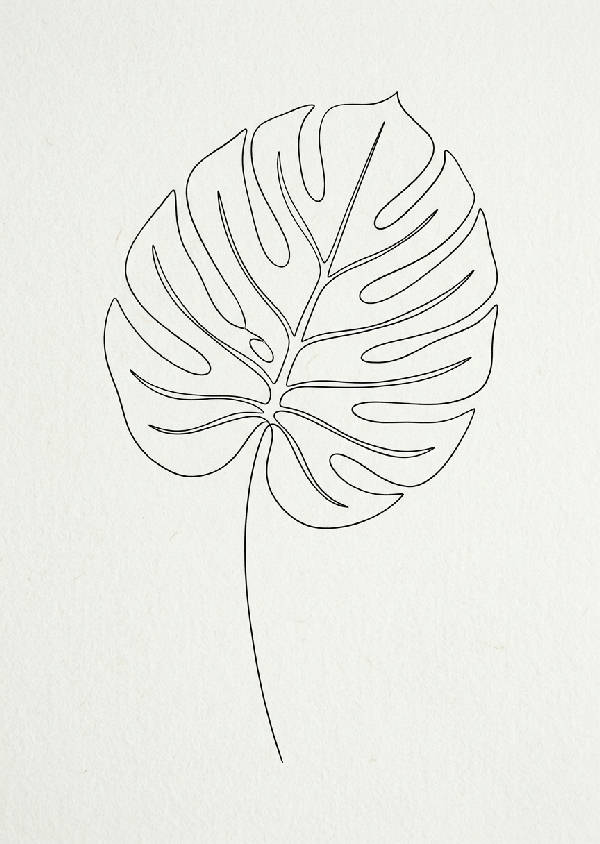 Närbild av ett enda monstera-blad i minimalistisk linjekonststil, grå linjer mot vit bakgrund, vertikal orientering