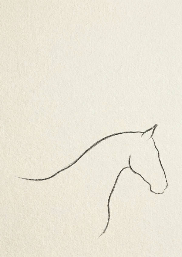 Minimalistisk enlinjekonst av en hästs profil, ritad med kol på texturerat gräddfärgat akvarellpapper.